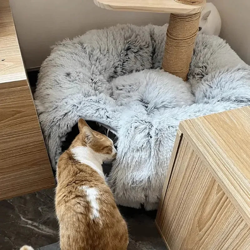 3-In-1 Cat Tunnel Bed - Femi Home