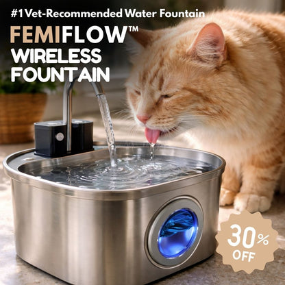 FemiFlow™ Wireless Fountain