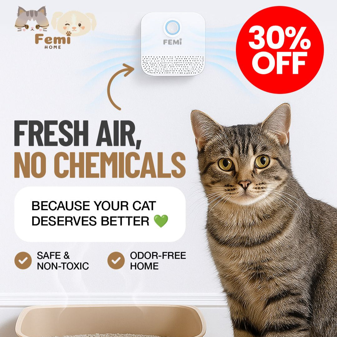 FemiFresh™ Smart Deodorizer