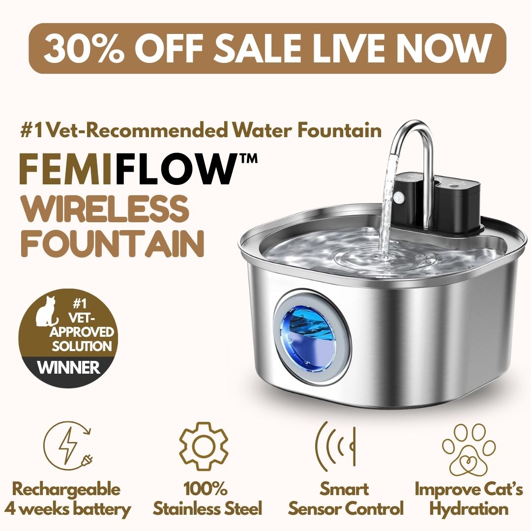 FemiFlow™ Wireless Fountain