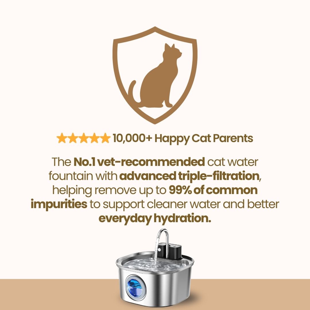 FemiFlow™ Wireless Fountain