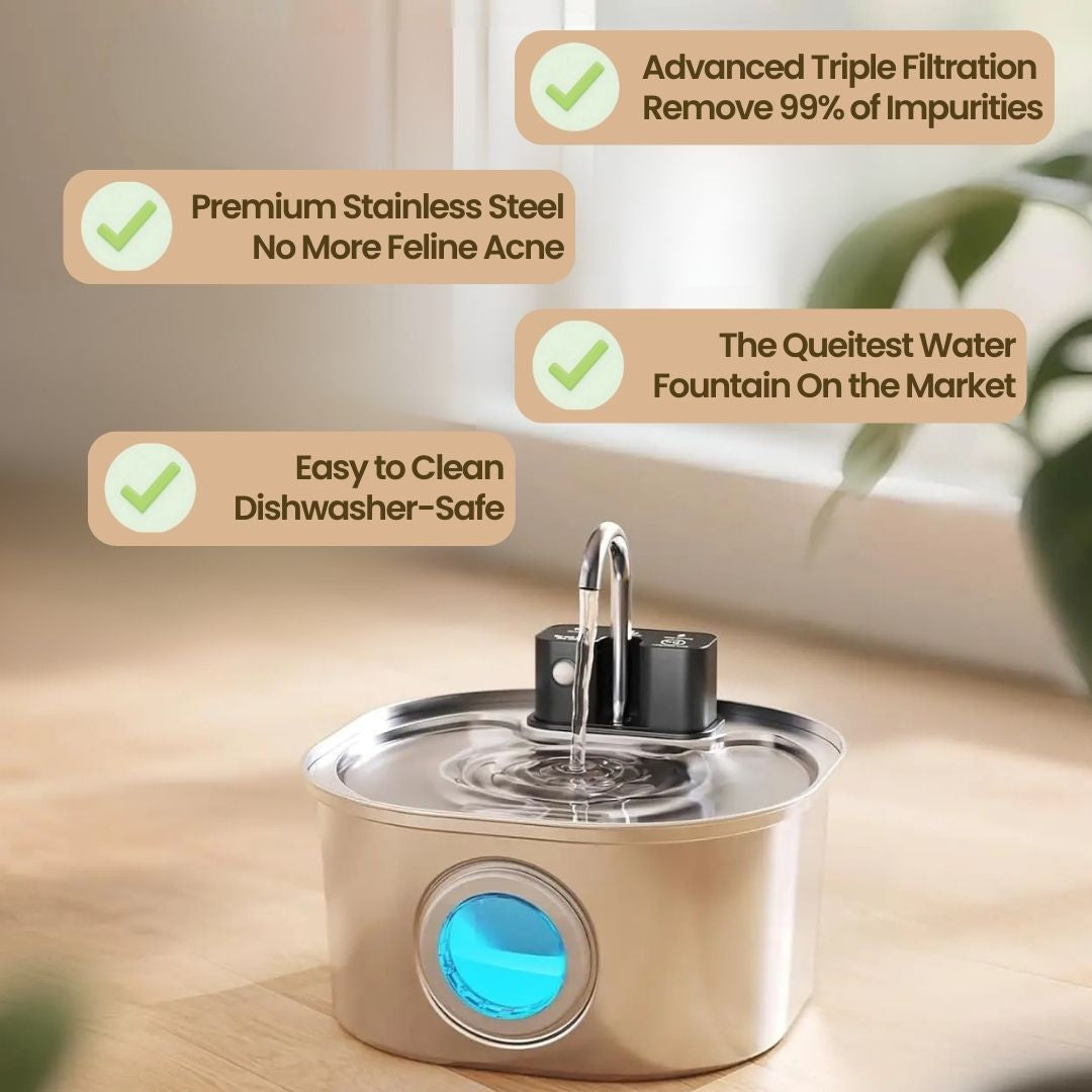 FemiFlow™ Wireless Fountain
